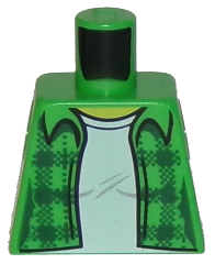 Torso Plaid Flannel Shirt Female over White T-Shirt Pattern