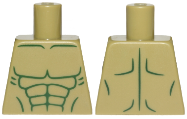 Torso Bare Chest with Dark Green Muscles Outline, Tapered Abdominals Pattern
