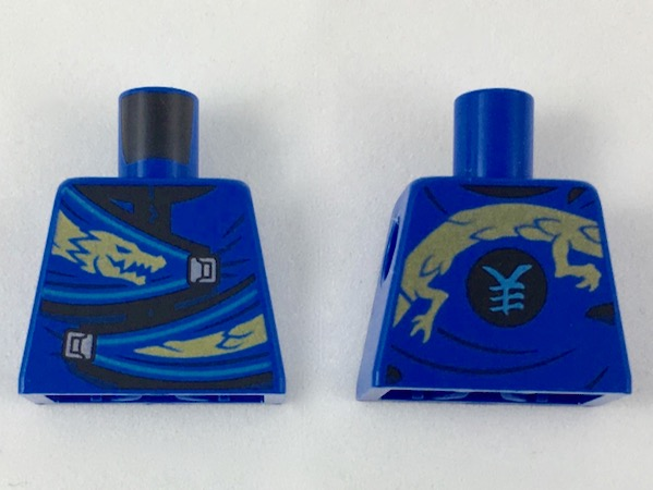 Torso Wrapped Robe with Gold Dragon Head and Tail, Silver Clasps Pattern