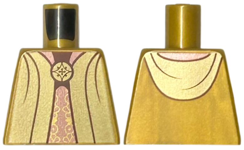 Torso Gold Robe Open with Copper Lining and Hood over Ornate Vertical Sash, Circle Brooch, Dark Brown Neck Pattern