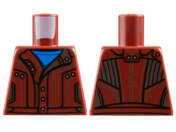 Torso Jacket over Blue Shirt, Reddish Brown Trim, Gold Buttons Pattern