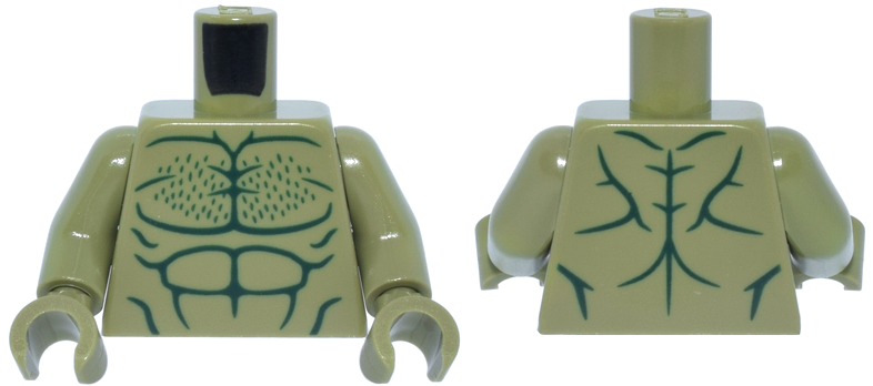 Torso Bare Chest with Dark Green Muscles Outline and Chest Hair Pattern / Olive Green Arms / Olive Green Hands