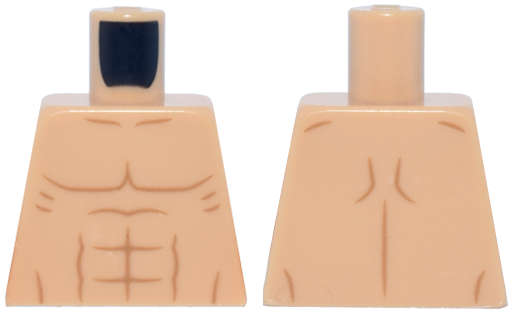 Torso Bare Chest, Medium Nougat Muscles Pattern
