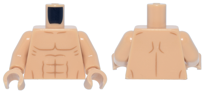 Torso Bare Chest, Medium Nougat Muscles Pattern / Medium Tan Arm / Medium Tan Hands