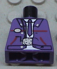 Torso Harry Potter Bus Driver Jacket and Dark Purple Tie Pattern