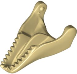 Dinosaur Jaw Lower Tyrannosaurus rex