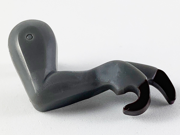 Dinosaur Leg Small (Front) Tyrannosaurus rex with Dark Brown Claws Pattern - Right