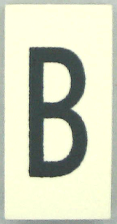 Modulex, Tile 2 x 4 with Dark Gray Capital Letter B Pattern (Thin Font)