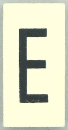 Modulex, Tile 2 x 4 with Dark Gray Capital Letter E Pattern (Thin Font)
