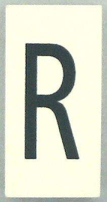 Modulex, Tile 2 x 4 with Dark Gray Capital Letter R Pattern (Thin Font)