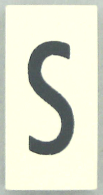 Modulex, Tile 2 x 4 with Dark Gray Capital Letter S Pattern (Thin Font)