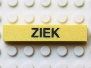 Modulex, Tile 1 x 5 with Black 'ZIEK' Pattern