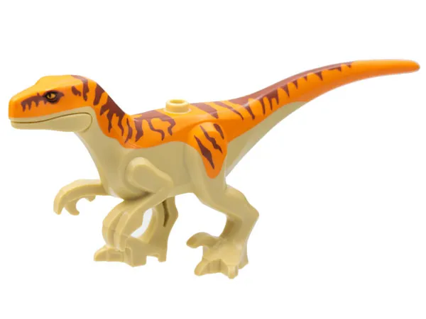 Dinosaur Atrociraptor with Orange Back, Reddish Brown Stripes, and Bright Light Orange Eyes
