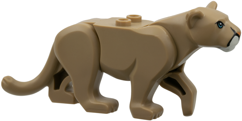 Cat, Large (Mountain Lion) with Medium Azure Eyes, Nougat Nose, White Muzzle Pattern