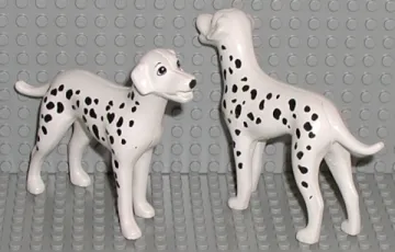 dalmatian01