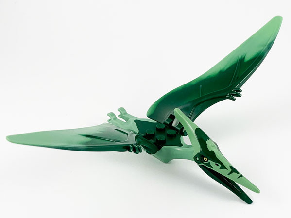 Dinosaur Pteranodon with 4 Studs with Dark Green Back and Forehead