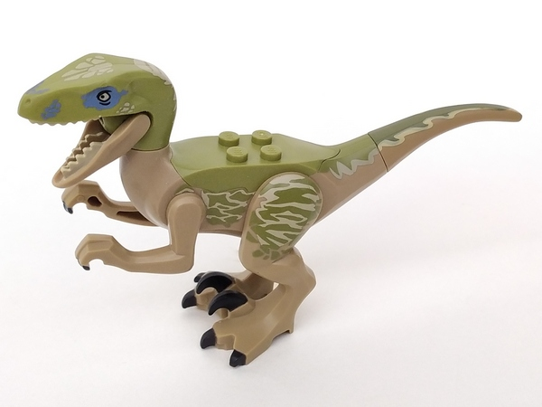 Dinosaur Raptor / Velociraptor with Olive Green Back and Tan Markings (Jurassic World Delta)