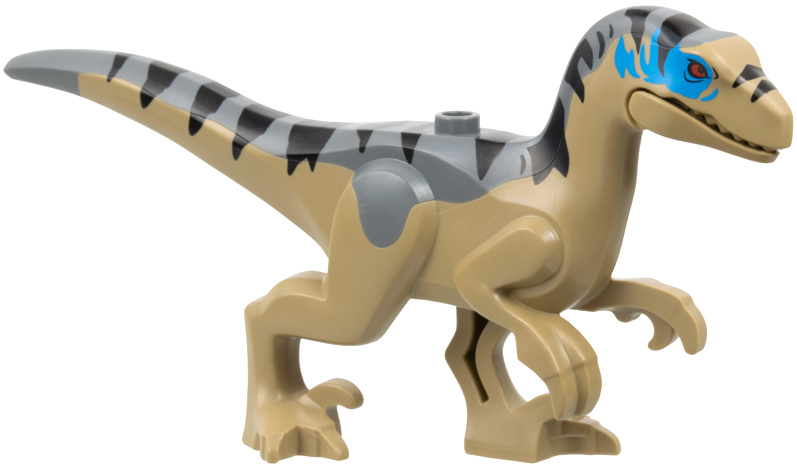 Dinosaur Raptor / Velociraptor with Dark Bluish Gray Back, Black Stripes, Dark Azure Markings