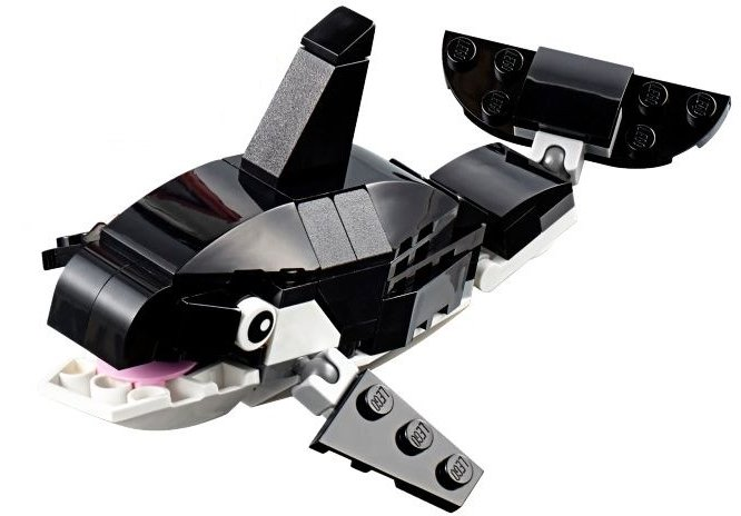 Whale, Killer Whale - Brick Built