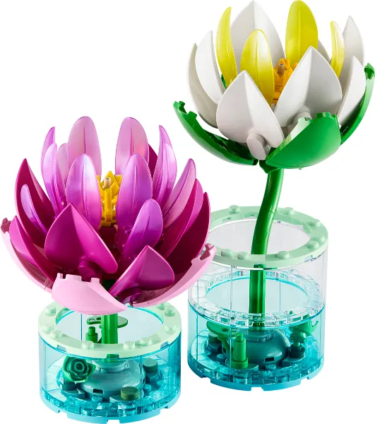 Water Lilies