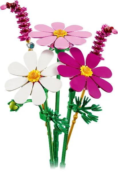 Cosmos Flowers