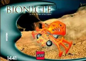 Fikou (Tree-Spider) polybag