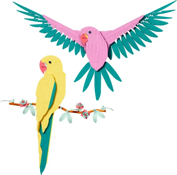 The Fauna Collection - Macaw Parrots