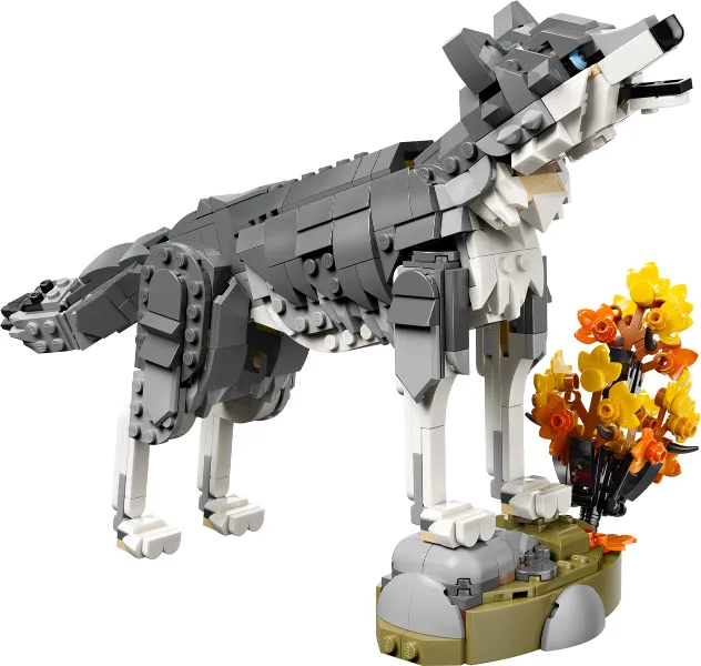 Gray Wolf