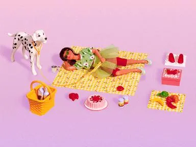 Andrea's Picnic Lunch