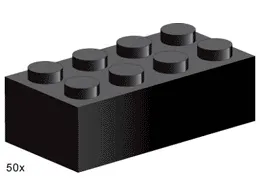 2 x 4 Black Bricks