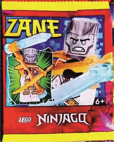 Zane paper bag #1