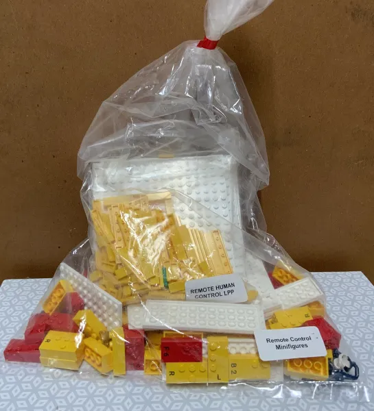 Remote Control Minifigures