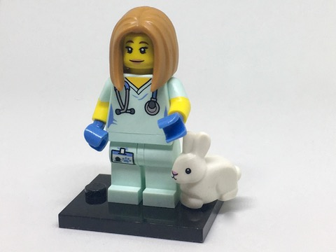 Veterinarian, Series 17 (Complete Set with Stand and Accessories)
