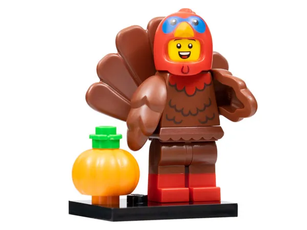 Turkey Costume, Series 23 (Complete Set with Stand and Accessories)